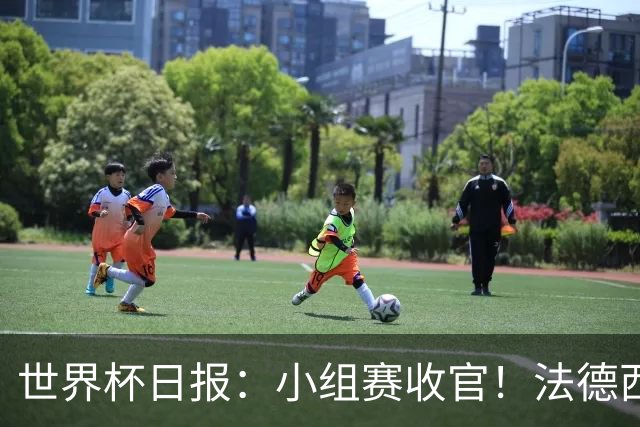 世界杯日报：小组赛收官！法德西荷葡半区绞杀+韩国伊朗出局